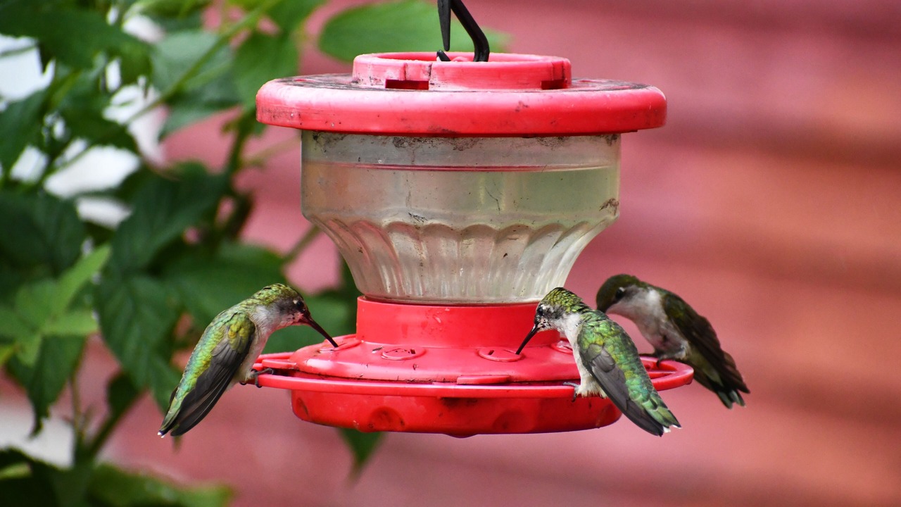 Photo of Others in Sheffield
