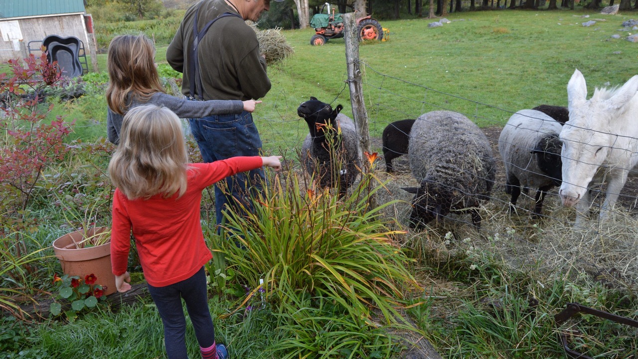 Photo of Others in Sheffield