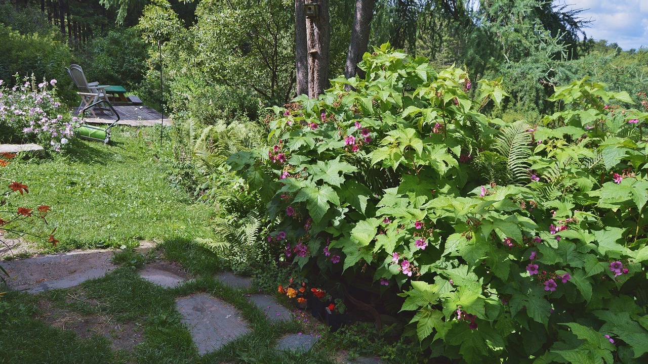 Photo of Outdoor in Sheffield