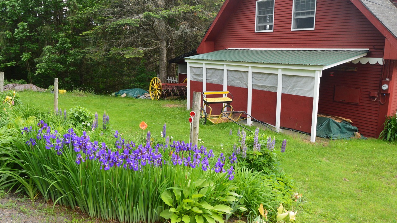 Photo of Outdoor in Sheffield