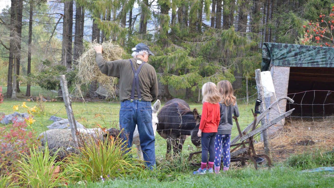 Photo of Others in Sheffield