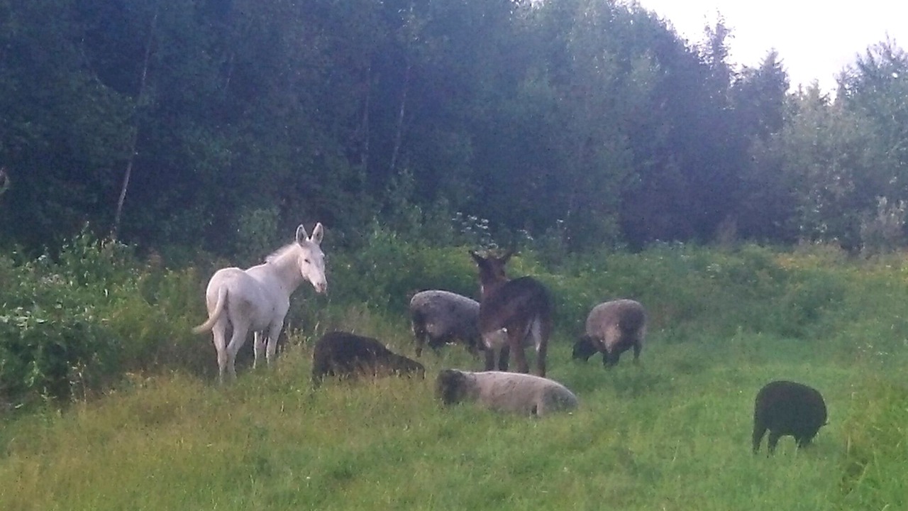 Photo of Others in Sheffield