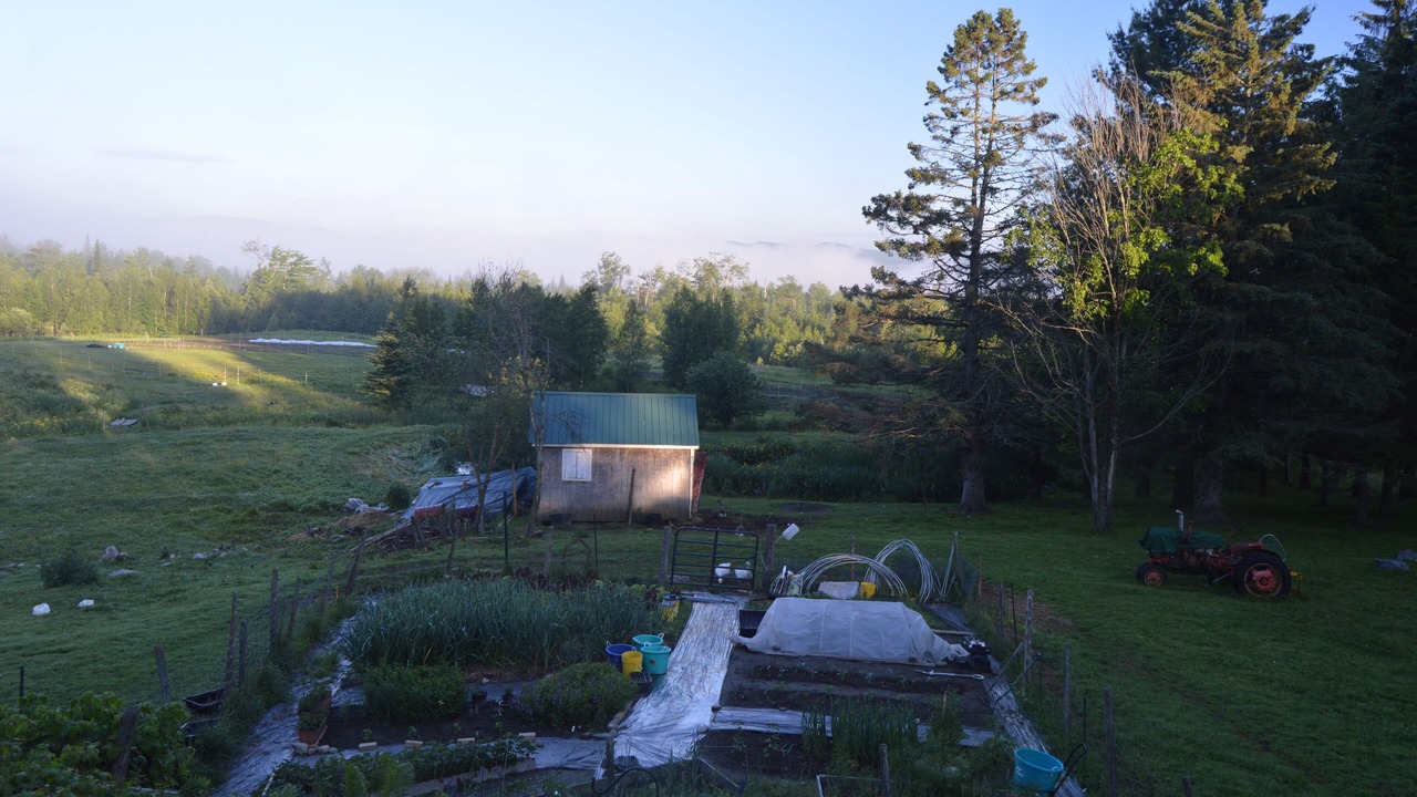 Photo of Others in Sheffield