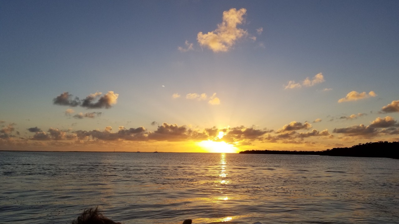 Photo of Others in Sexton Cove Estates