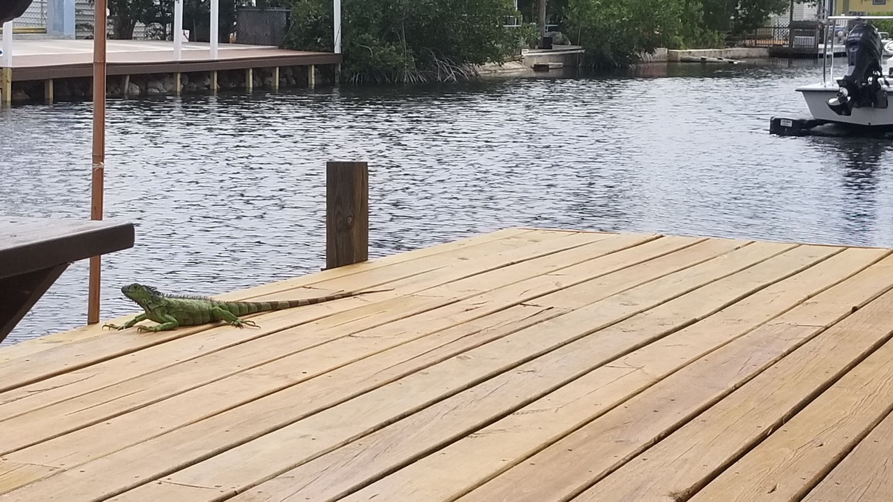 Photo of Others in Sexton Cove Estates