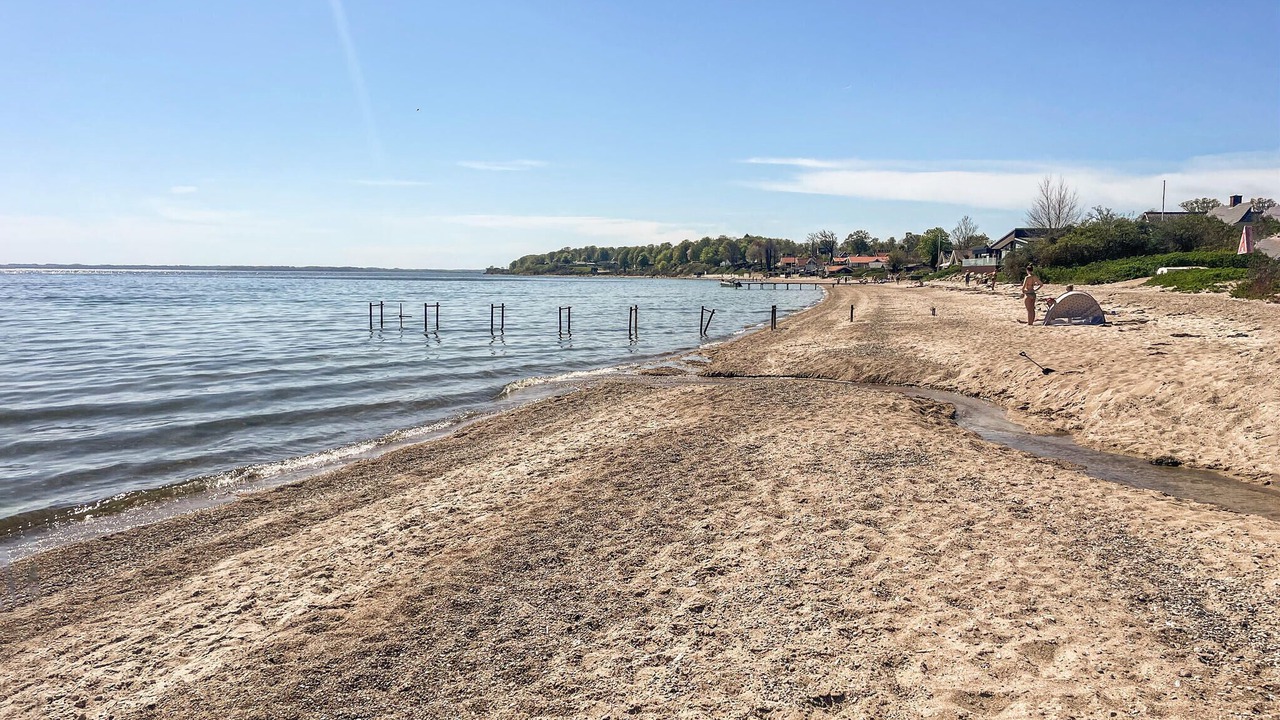 Photo of Others in Hejsager Strand