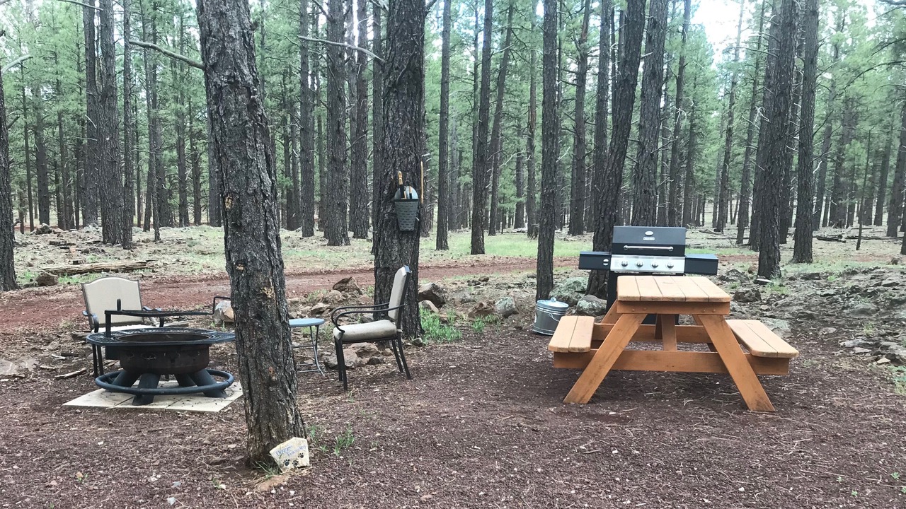 Photo of Outdoor in Parks