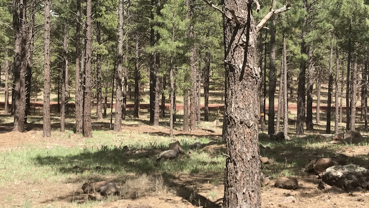 Photo of Outdoor in Parks