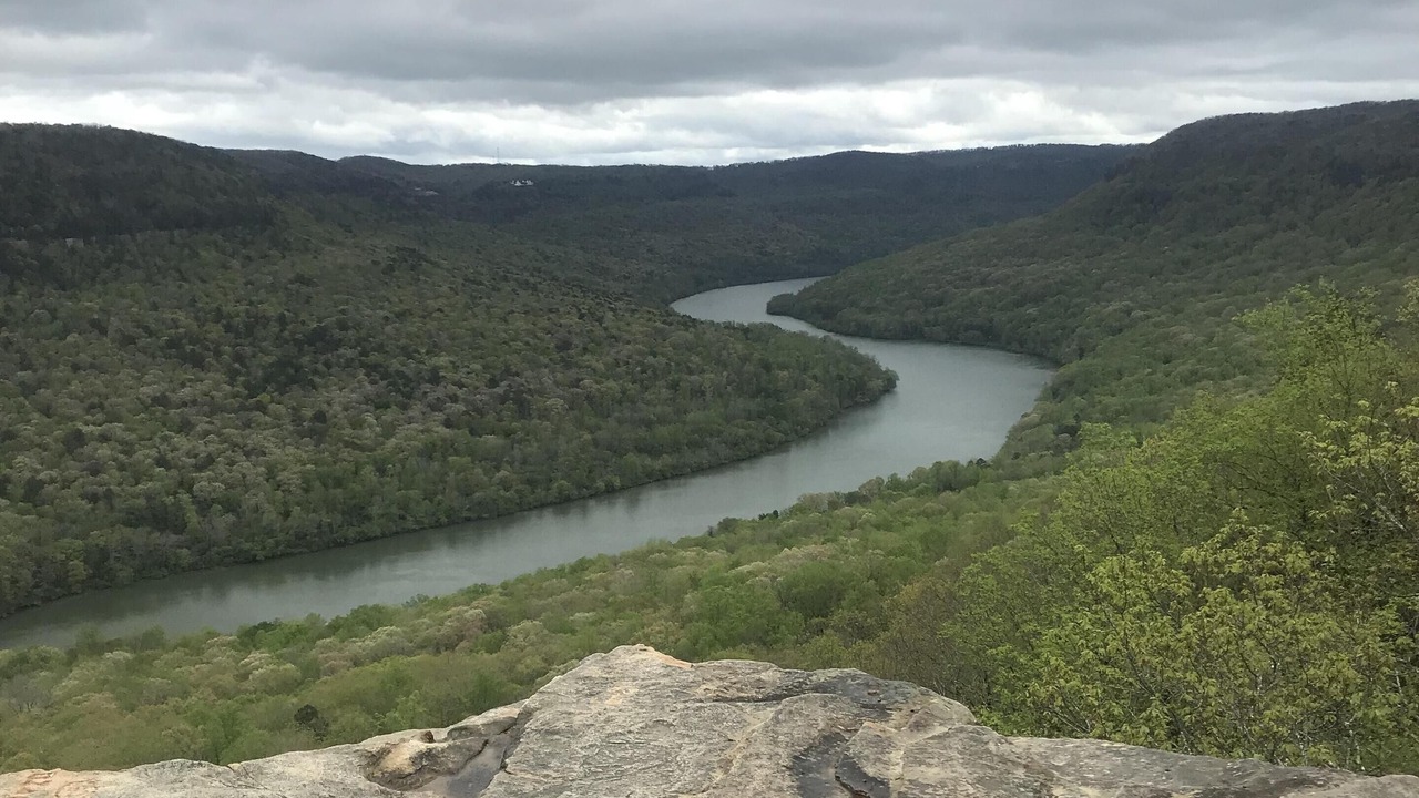 Photo of Others in Chattanooga