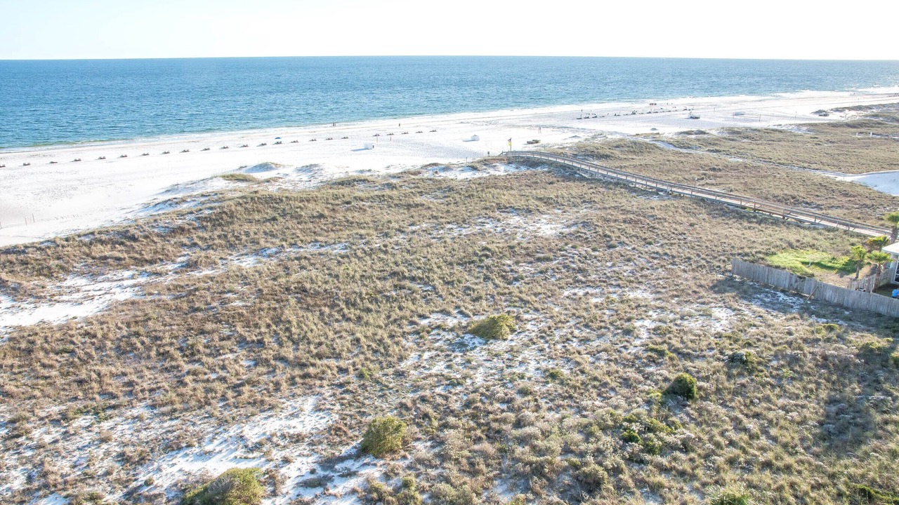 Photo of Others in Orange Beach