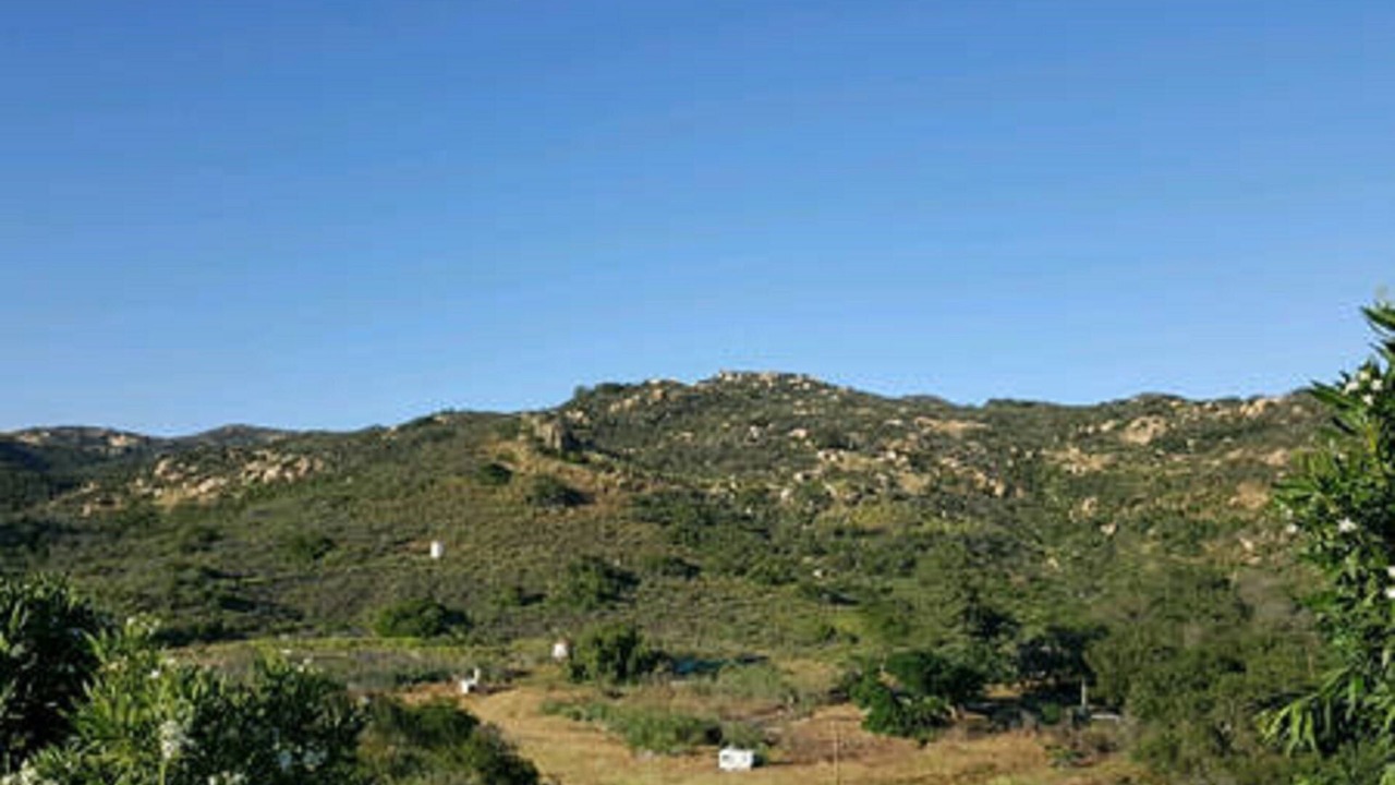 Photo of Others in Fallbrook