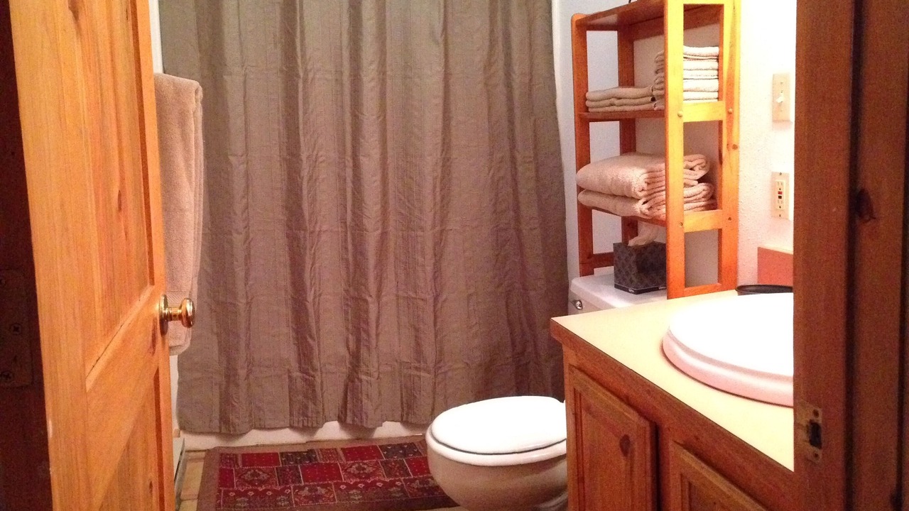 Photo of Bathroom in Livingston