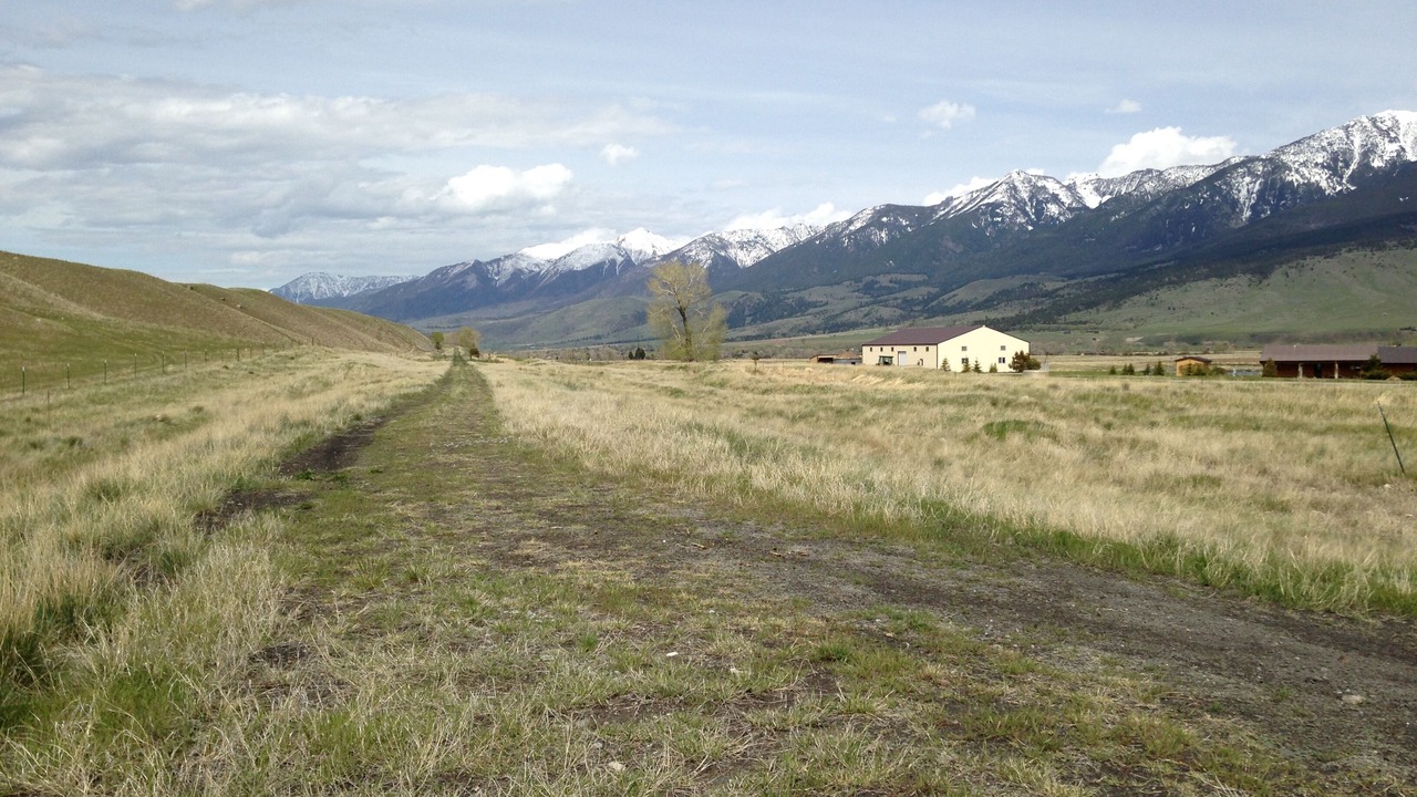 Photo of Others in Livingston