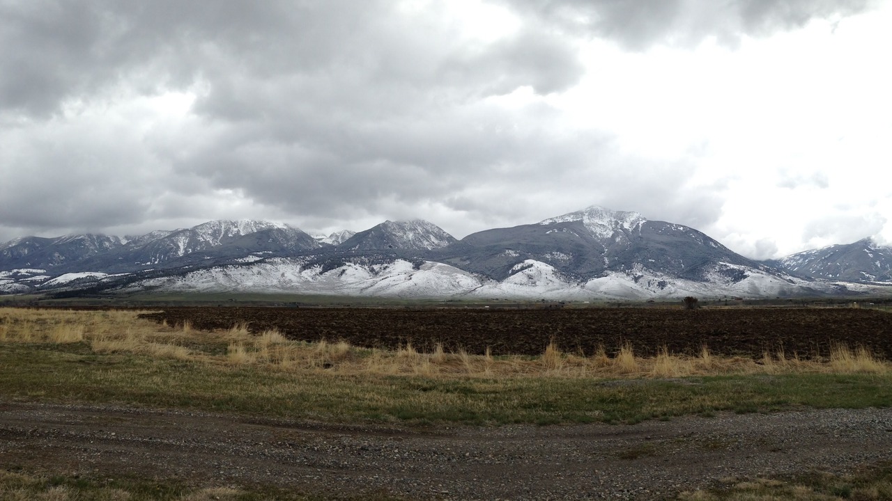 Photo of Outdoor in Livingston