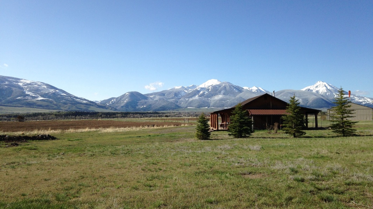 Photo of Others in Livingston