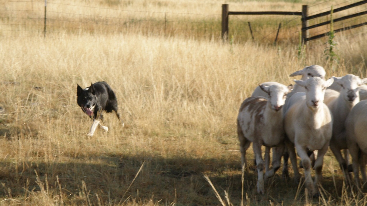 Photo of Others in Livingston