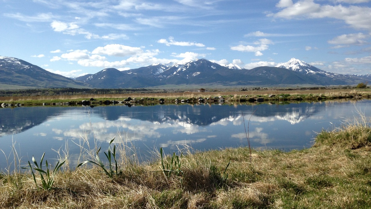 Photo of Others in Livingston