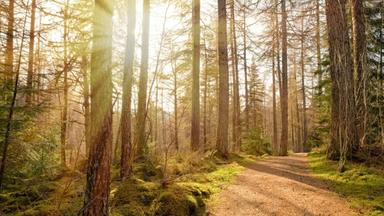 Photo of Outdoor in Lewiston