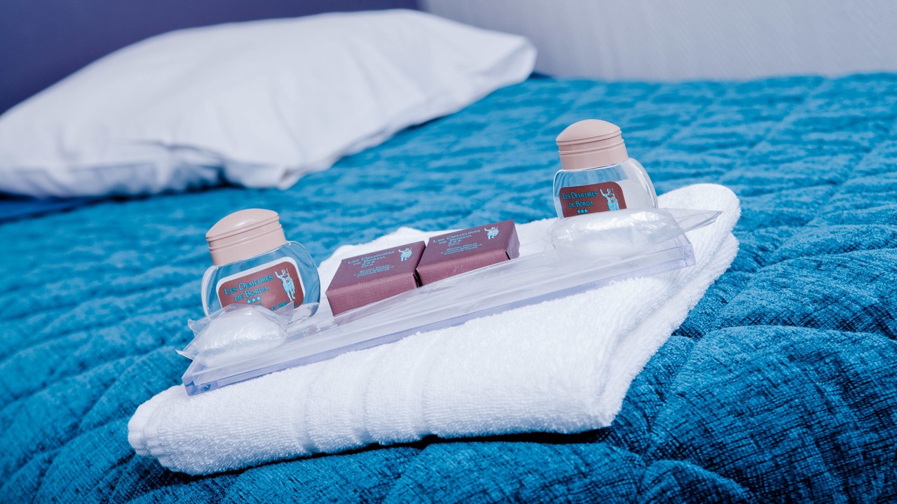 Photo of Bedroom in Dax