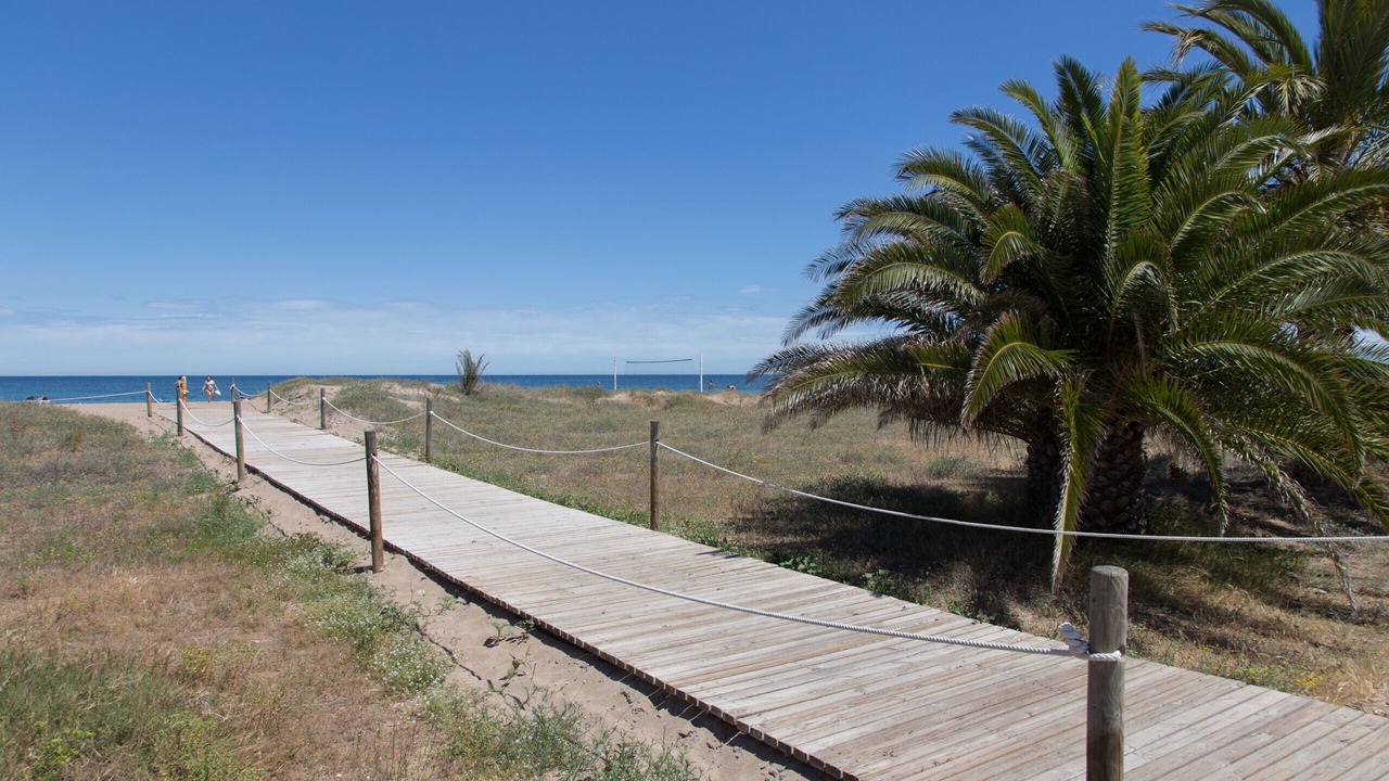 Photo of Others in Denia