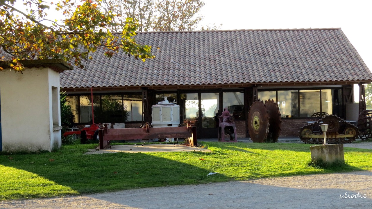 Photo of Outdoor in Arles