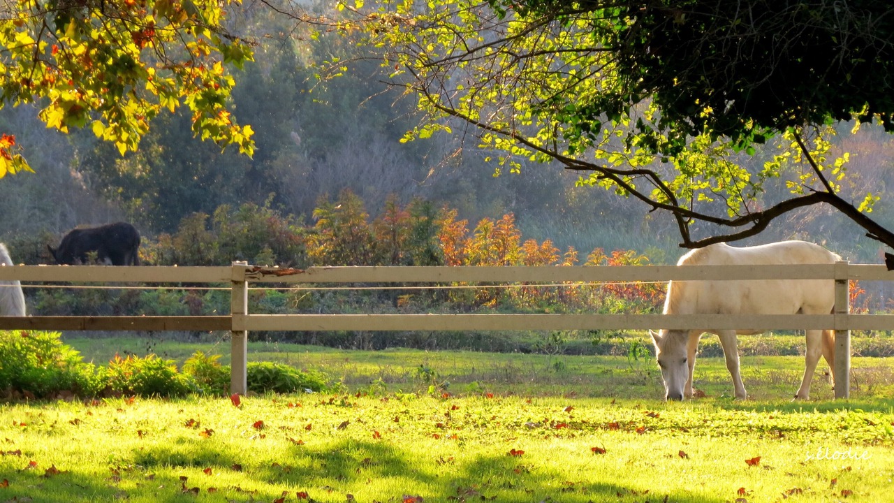 Photo of Outdoor in Arles