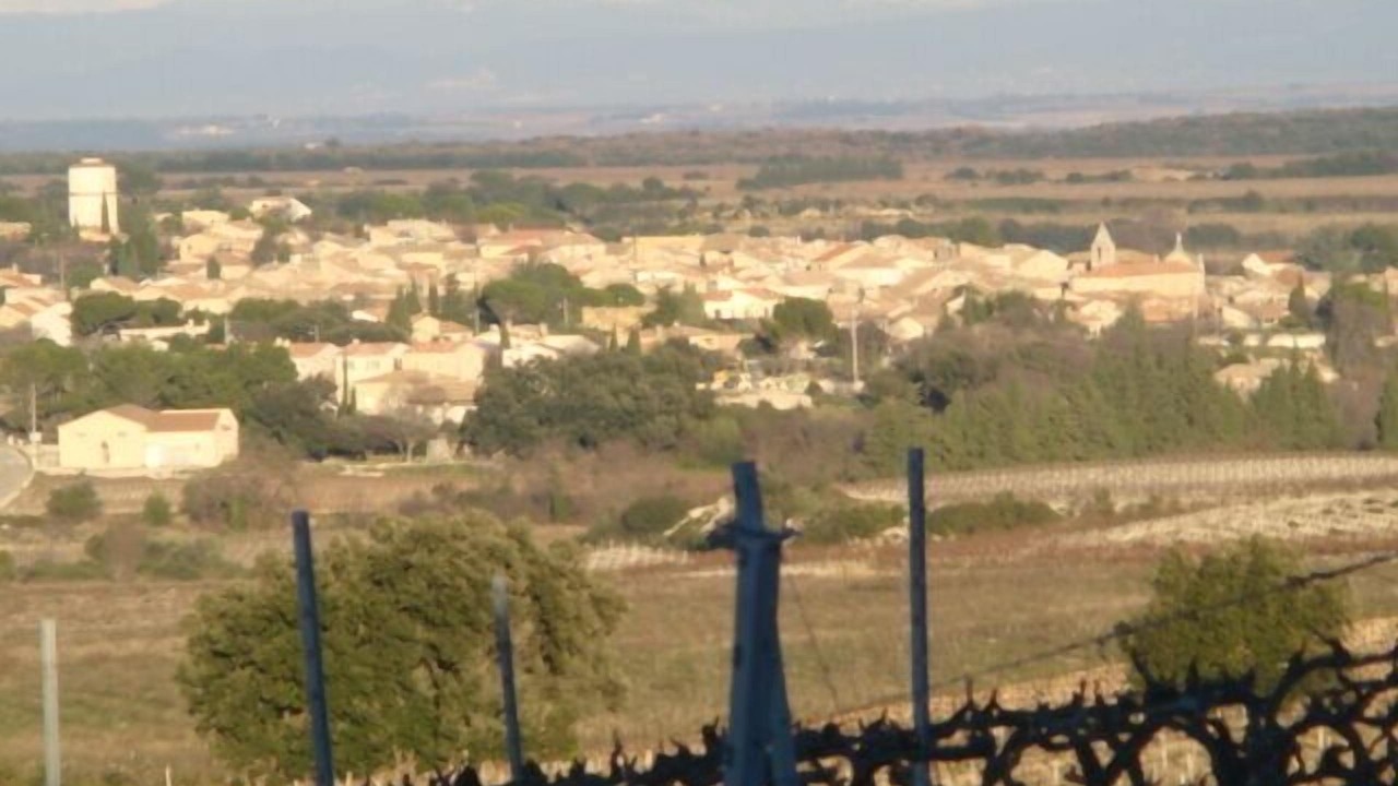 Photo of Others in Tavel