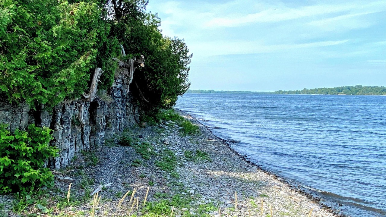 Photo of Others in Alburg