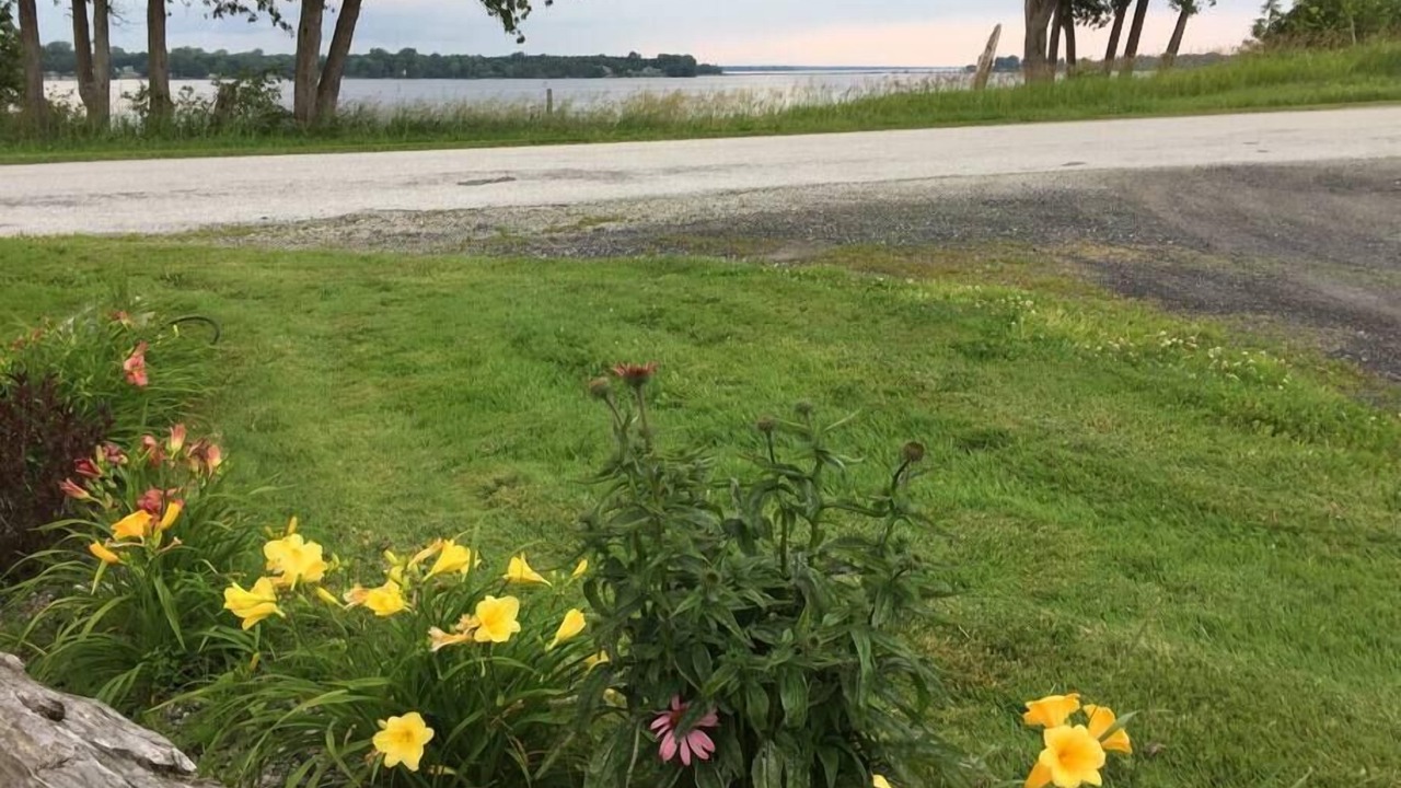 Photo of Others in Alburg