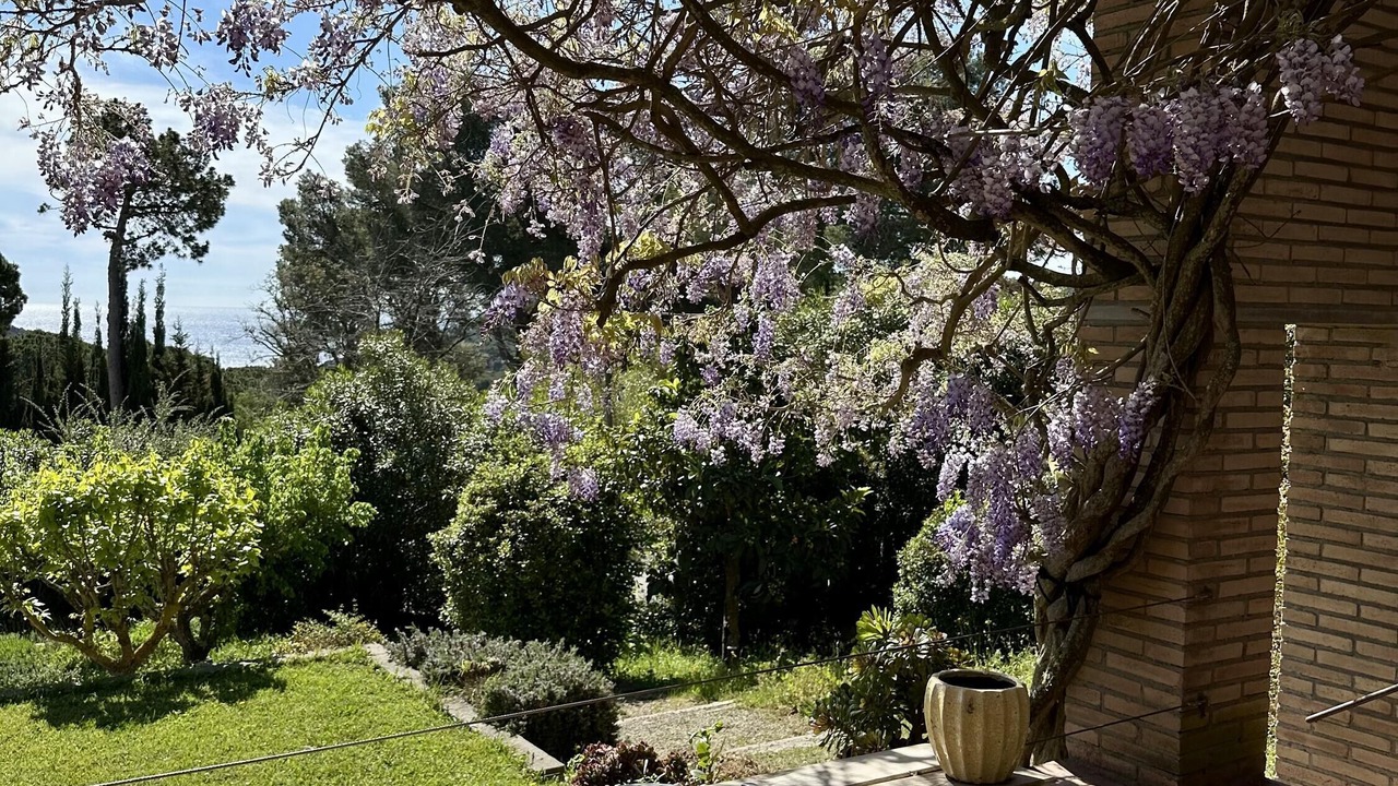 Photo of Outdoor in Aiguablava