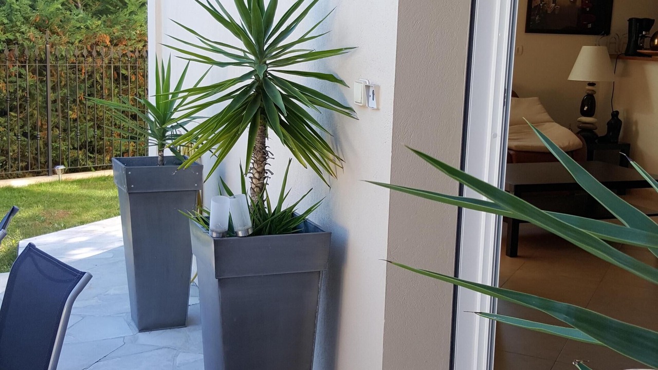 Photo of Outdoor in Gairaut