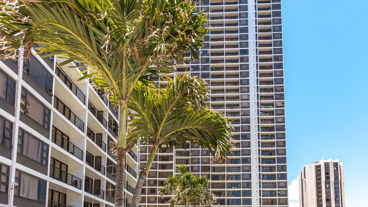 Photo of Others in Waikiki