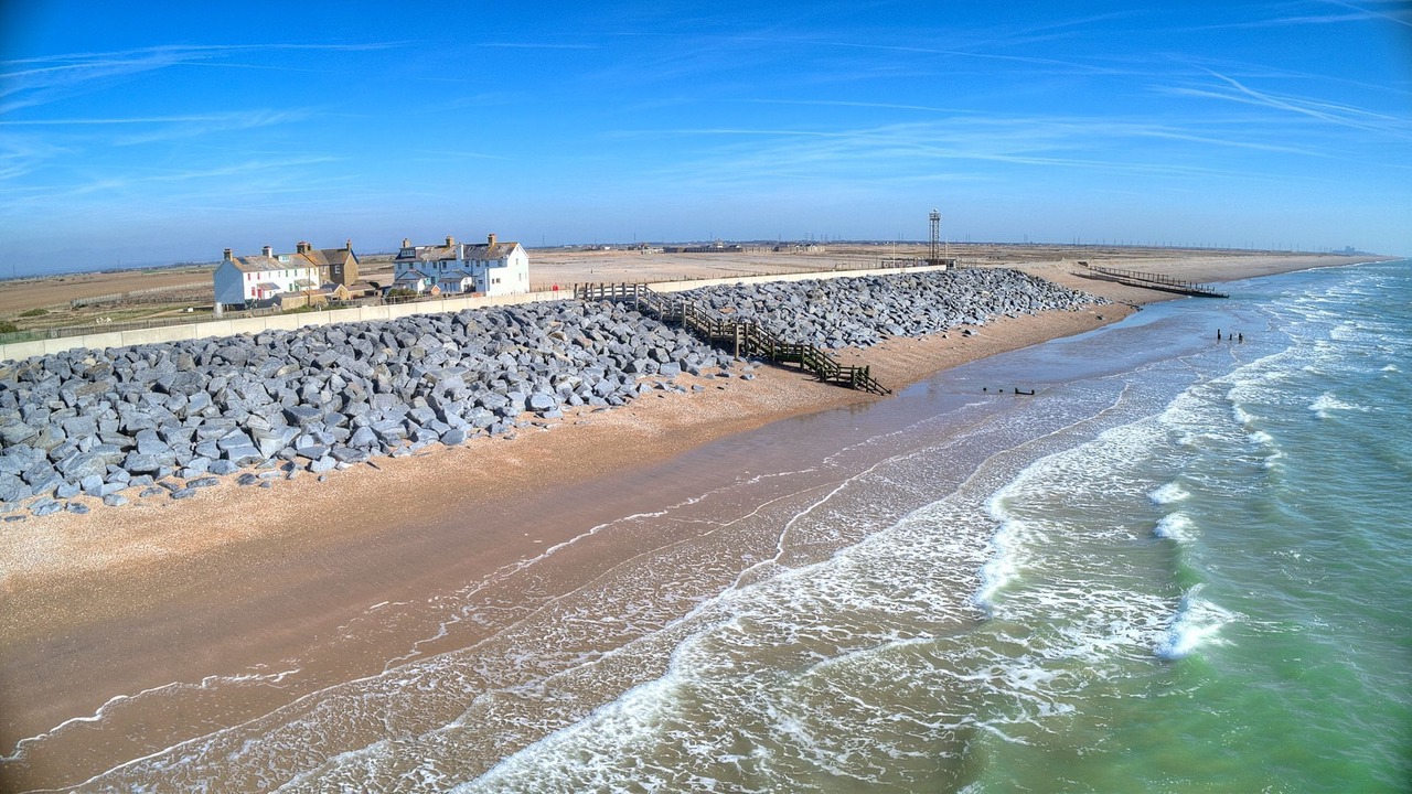 Photo of Others in Camber