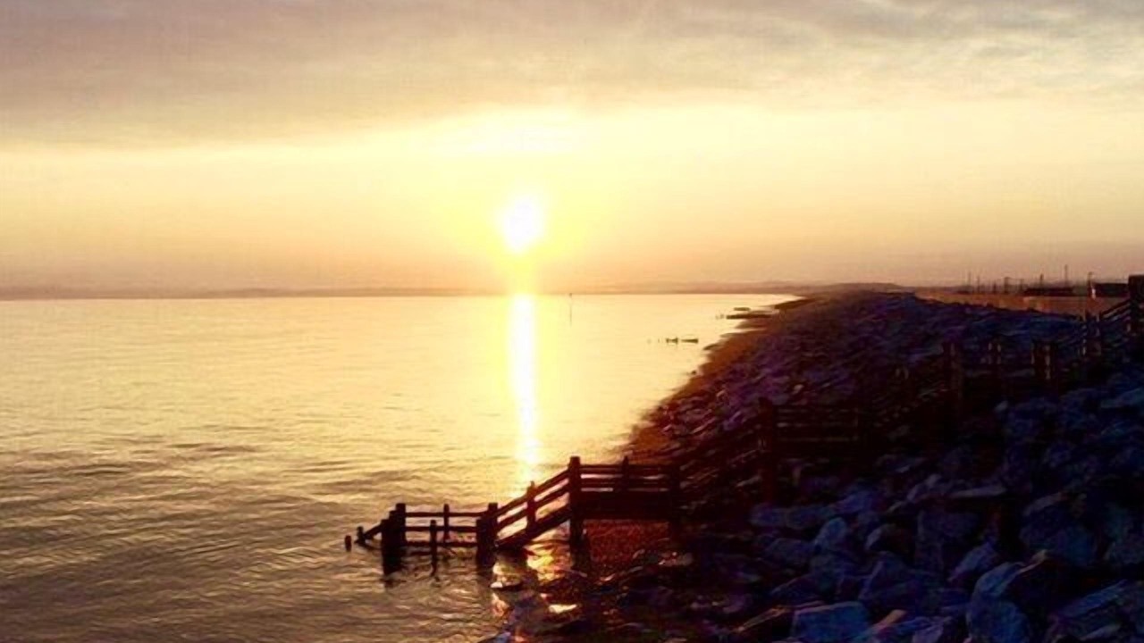 Photo of Others in Camber