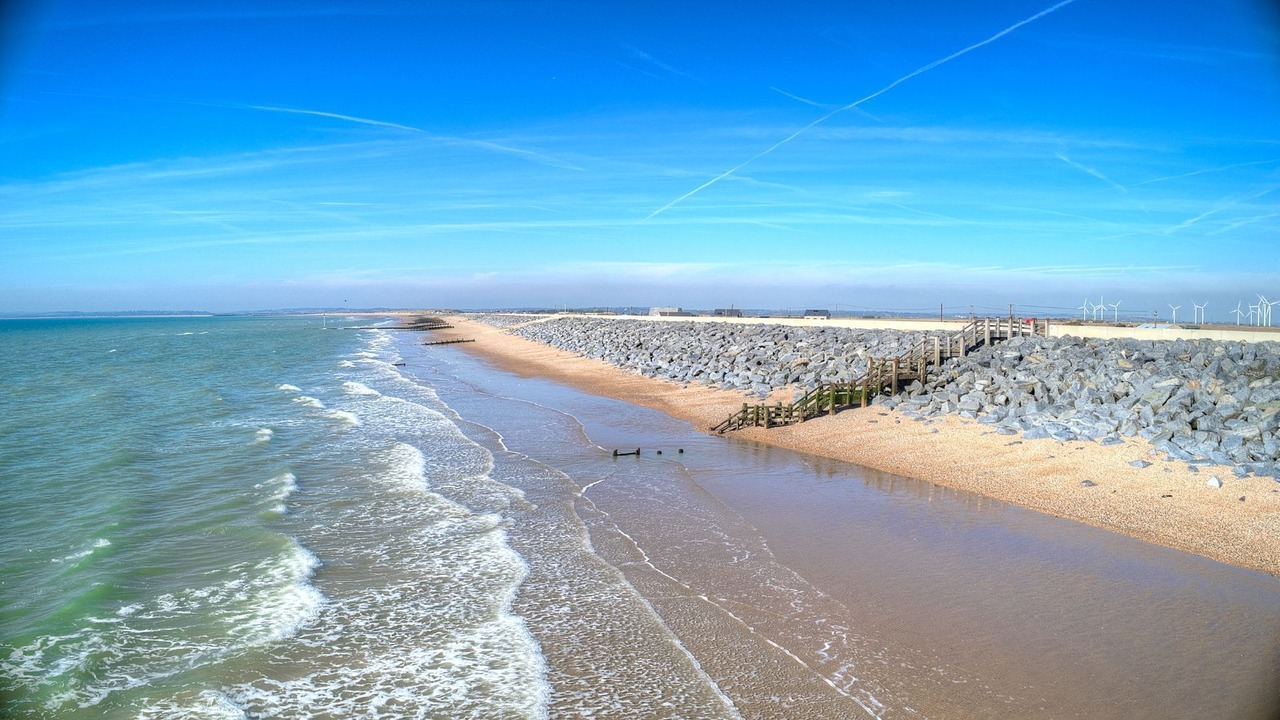 Photo of Others in Camber