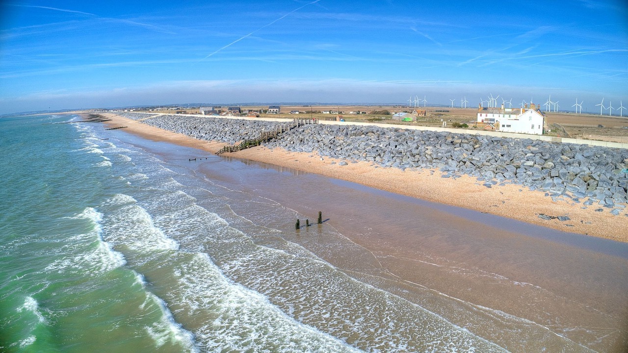 Photo of Others in Camber