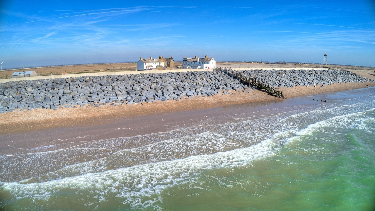 Photo of Others in Camber