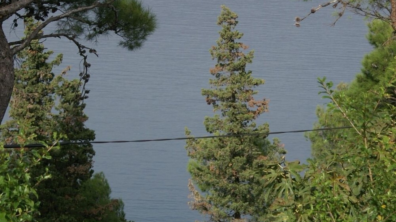 Photo of Others in Splitska