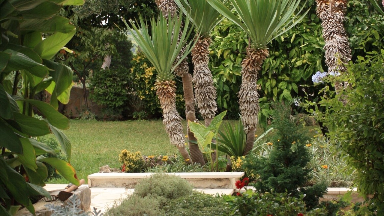 Photo of Outdoor in Splitska