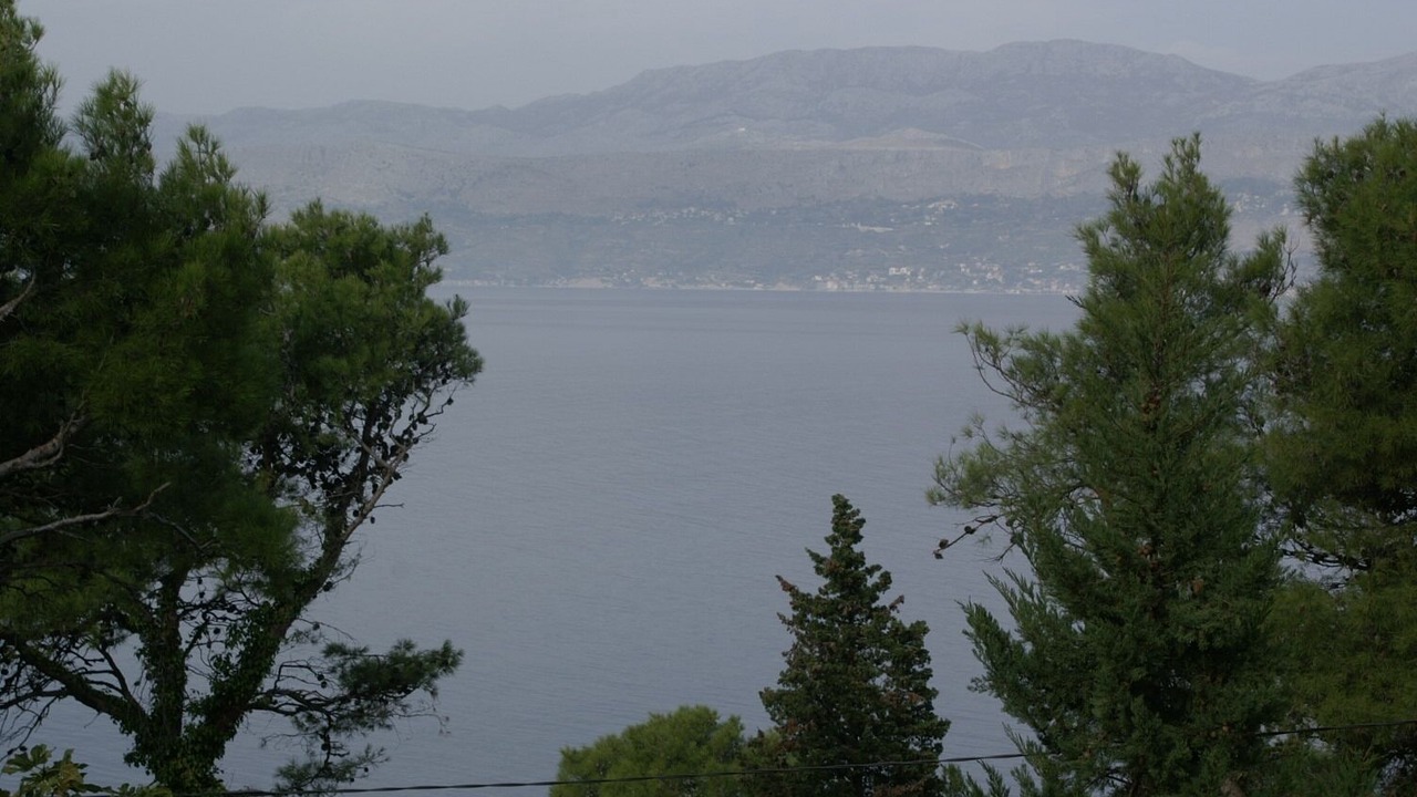 Photo of Others in Splitska