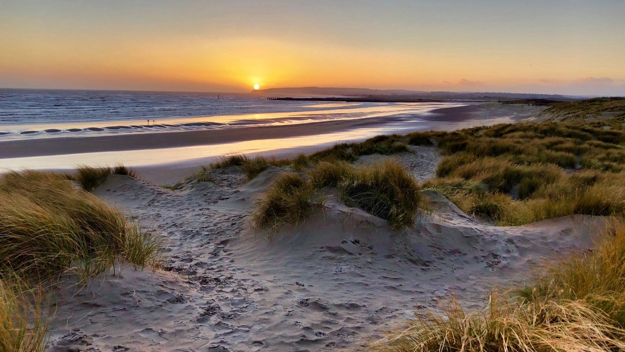 Photo of Others in Camber