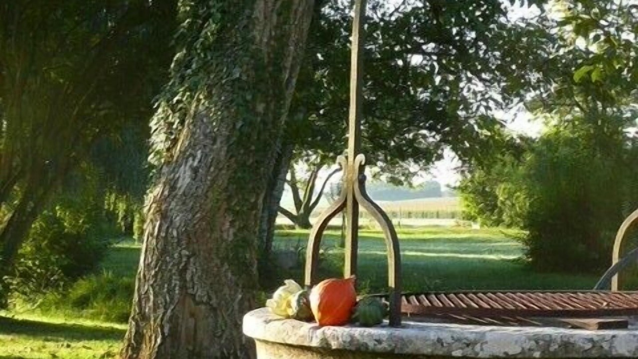 Photo of Others in Corgoloin