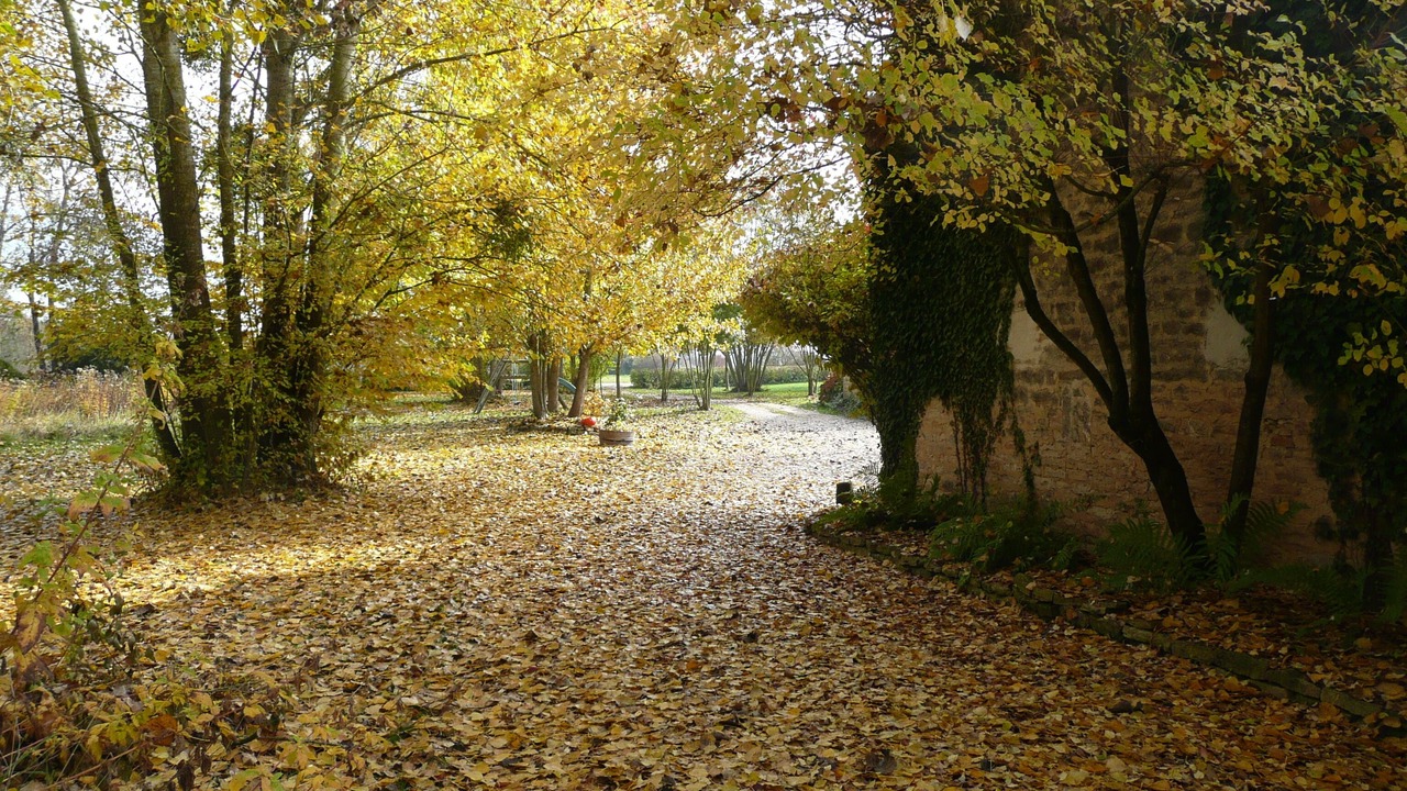 Photo of Outdoor in Corgoloin