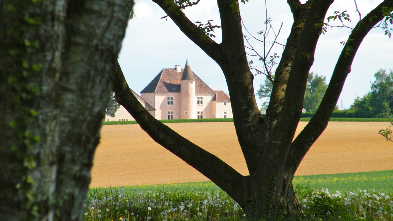 Photo of Others in Corgoloin