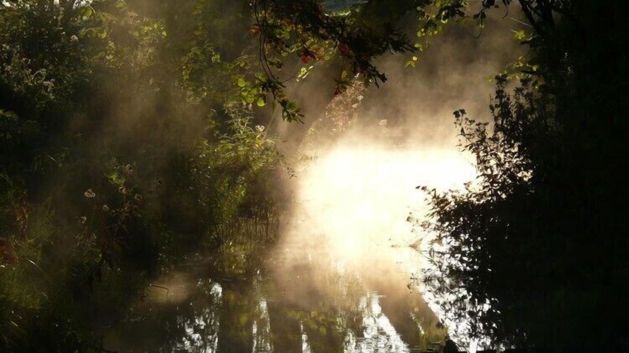 Photo of Others in Corgoloin