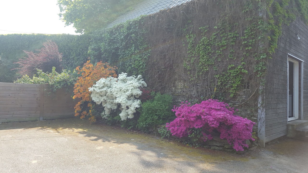 Photo of Outdoor in Ploermel