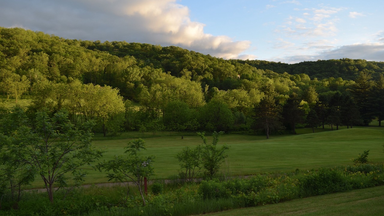 Photo of Others in Spring Green