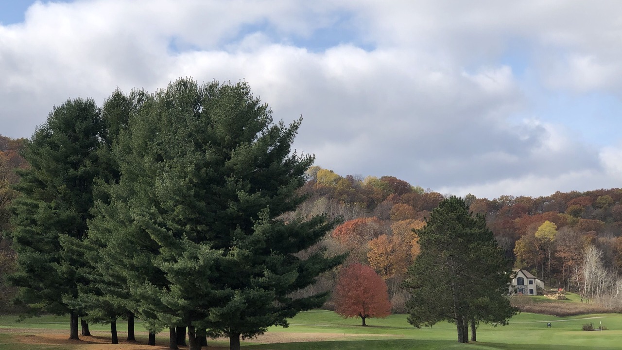 Photo of Others in Spring Green