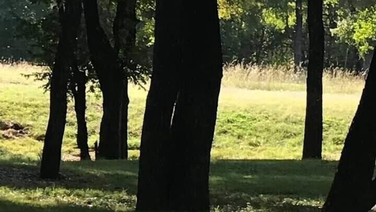 Photo of Others in Roanoke
