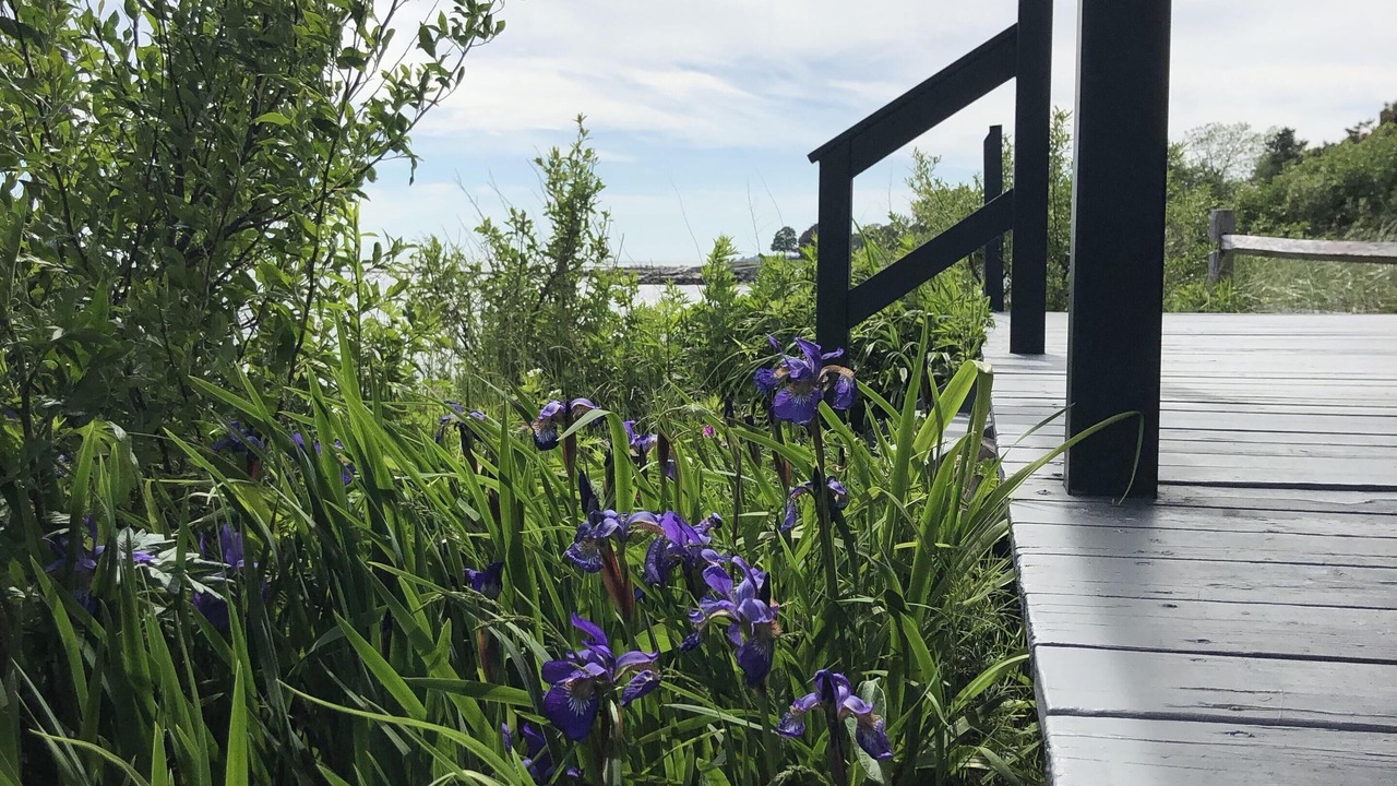 Photo of Others in Waterford